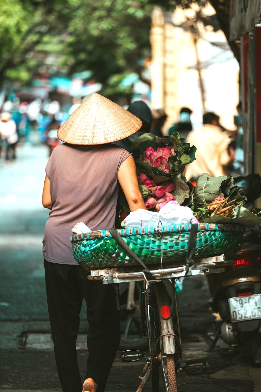 Vietnam Sapa