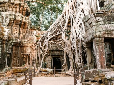Cambodia Tours