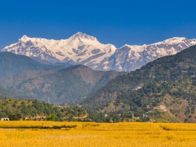 Nepal Travel Agency