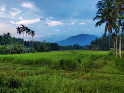 Kerala Travel Agency