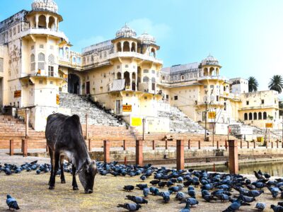 rajasthan tour package
