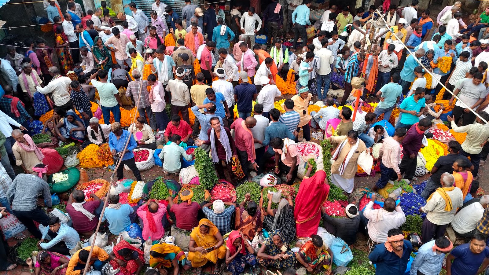Monu Tours - Explore India and Southeast Asia with Locals